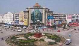 临泉网红最新爆料,揭秘背后惊人真相！