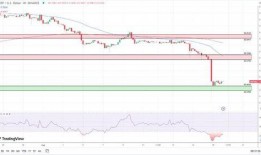 瑞波币最新爆料新闻,价格波动背后的大动作揭秘